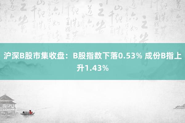 沪深B股市集收盘：B股指数下落0.53% 成份B指上升1.43%